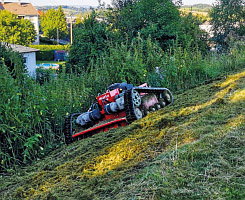 Steilflächenmulch